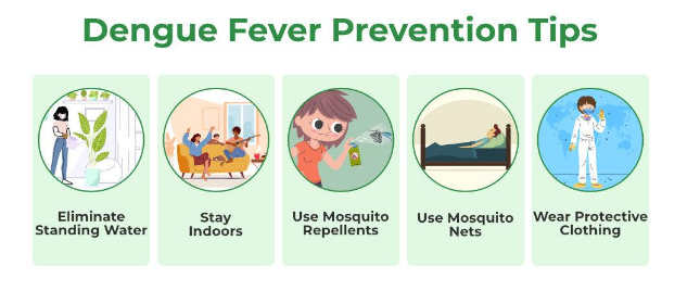 dengue-fever-supportive-therapy