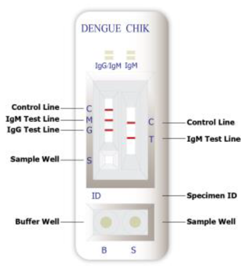 Dengue test