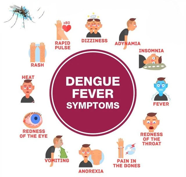 dengue-fever-supportive-therapy
