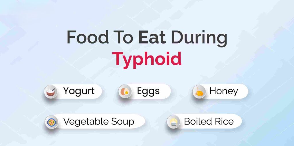 typhoid in hindi