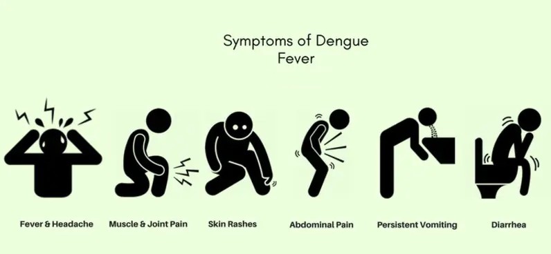Dengue test