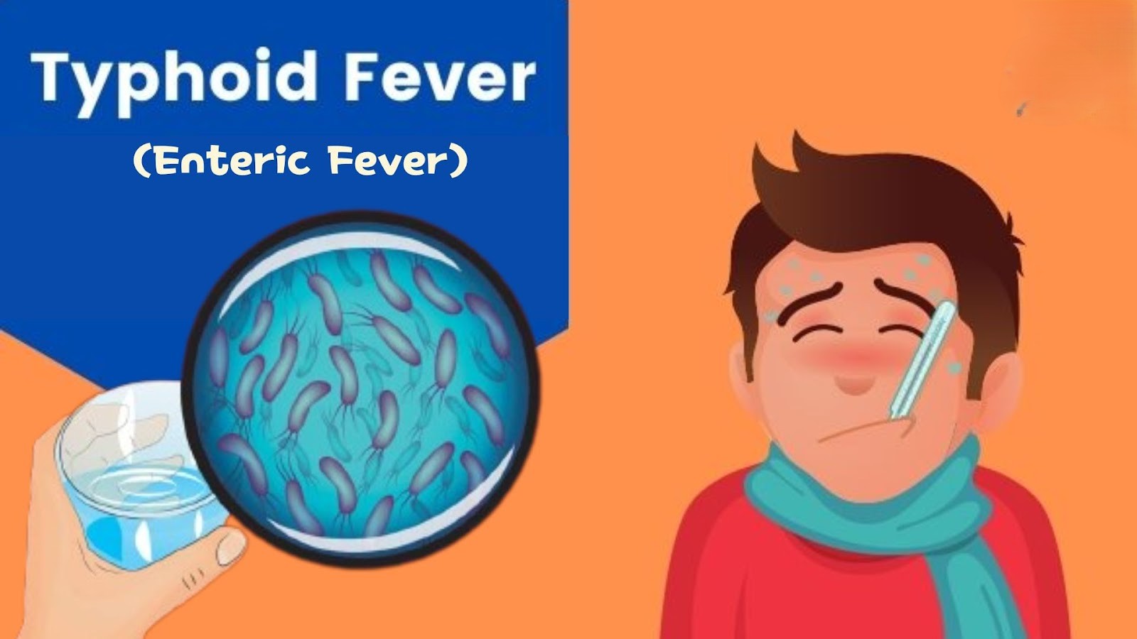 typhoid in hindi